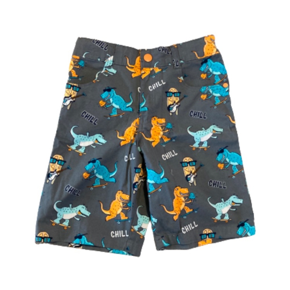 Boys nwt size 8 shorts dinosaurs skateboard cool chill colorful hip kids new